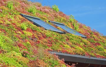 Arlecdon living roof systems