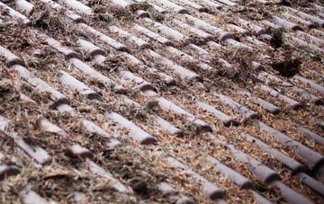 Arlecdon roof cleaning companies